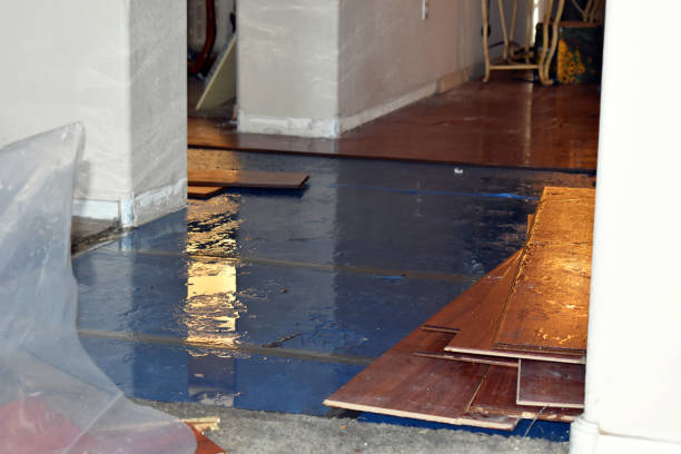 Professional Water Damage Restoration technician working in Bodfish, CA